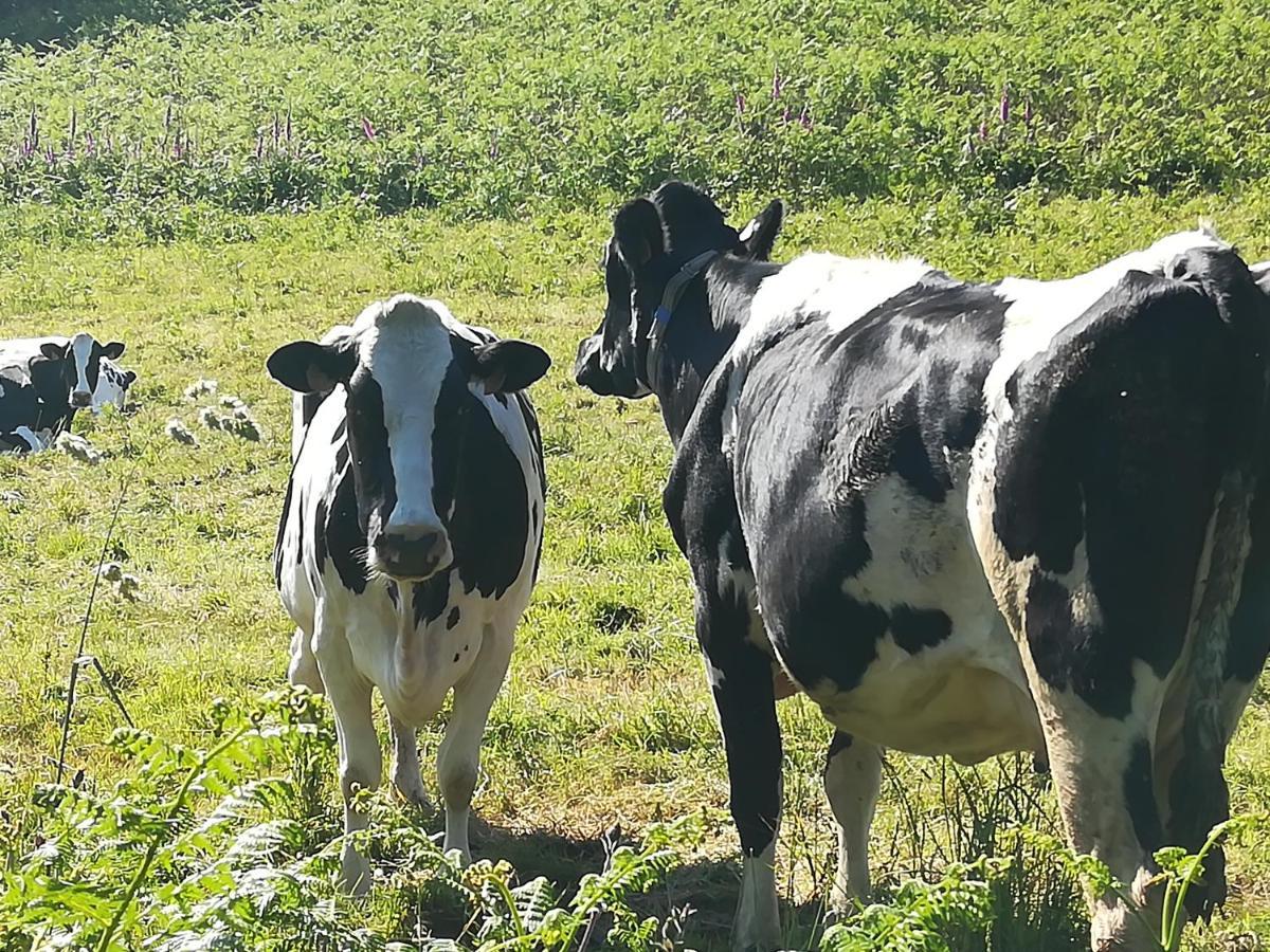 Le Gite Donemat Ploudalmézeau Exterior foto